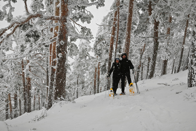 Madrid: Snowshoe tour