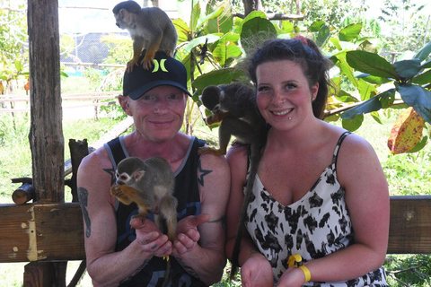 Amber Cove & Taino Bay: Private VIP Monkeys & Beach Escape