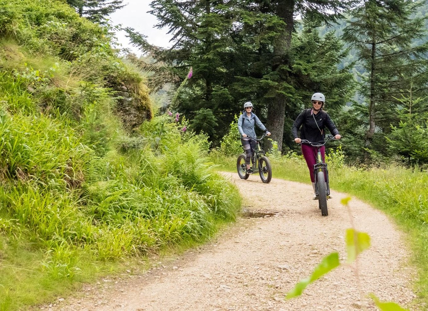 Panoramisk tur i La Bresse på elektrisk løbehjul med aperitif