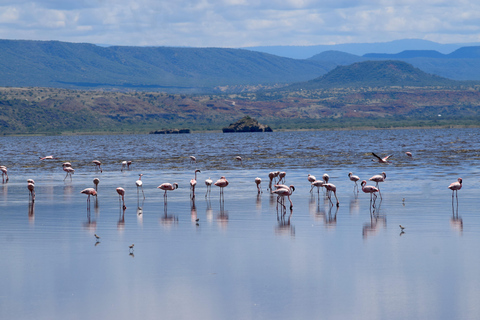 Arusha: Lake Natron Day Trip (Lake Walk &amp; Waterfall Hike)