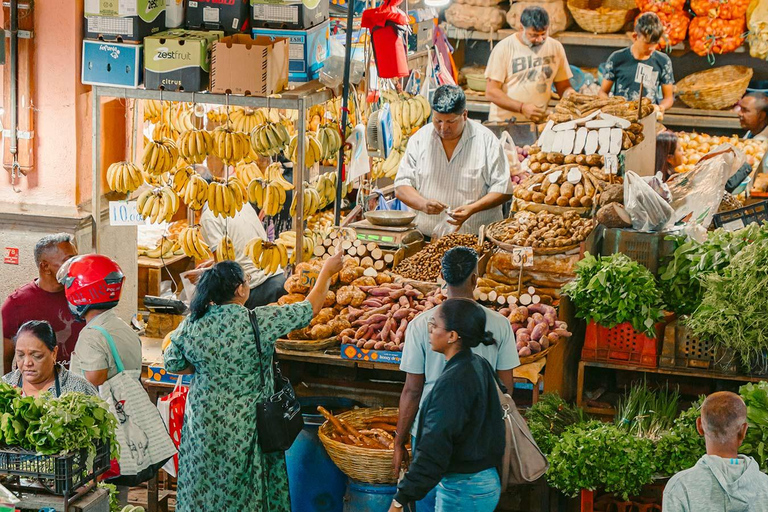 Mauricio: Excursión de un día a Port Louis y lugares destacados del norteMauricio: Lo mejor de Port Louis y Tour de día completo por el Norte