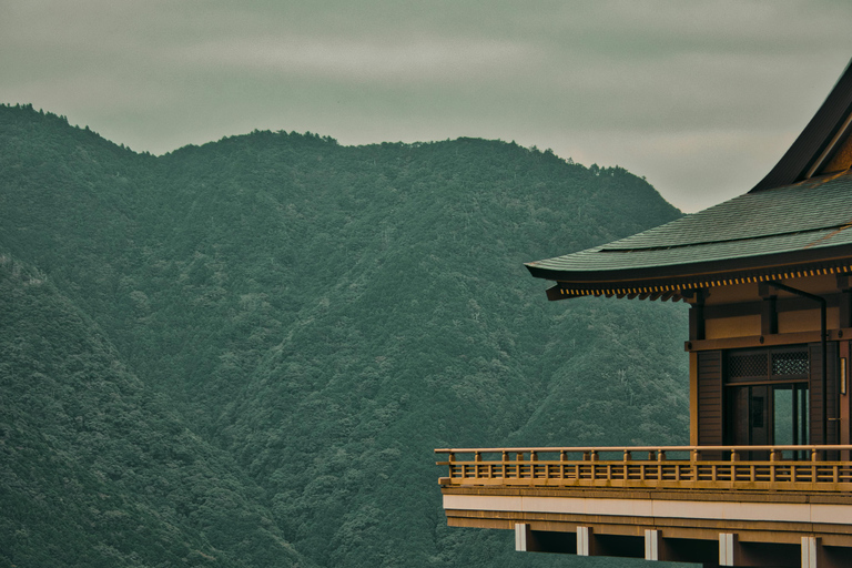 Kyoto/Osaka: Kyoto&Nara Private Customized Guided Tour