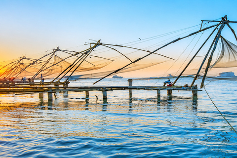 Kerala: Kochi, Munnar, Alleppey & Trivandrum Multi-Day Tour From Kochi: 7 Days Private Tour (All Inclusive)