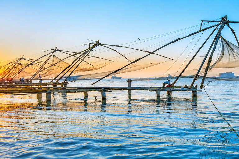 Kerala: Kochi, Munnar, Alleppey & Trivandrum Multi-Day Tour From Kochi: 7 Days Private Tour (All Inclusive)