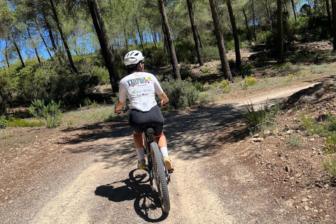 Ibiza: Self-Guided eMTB/e-Bike Rental with GPS Routes