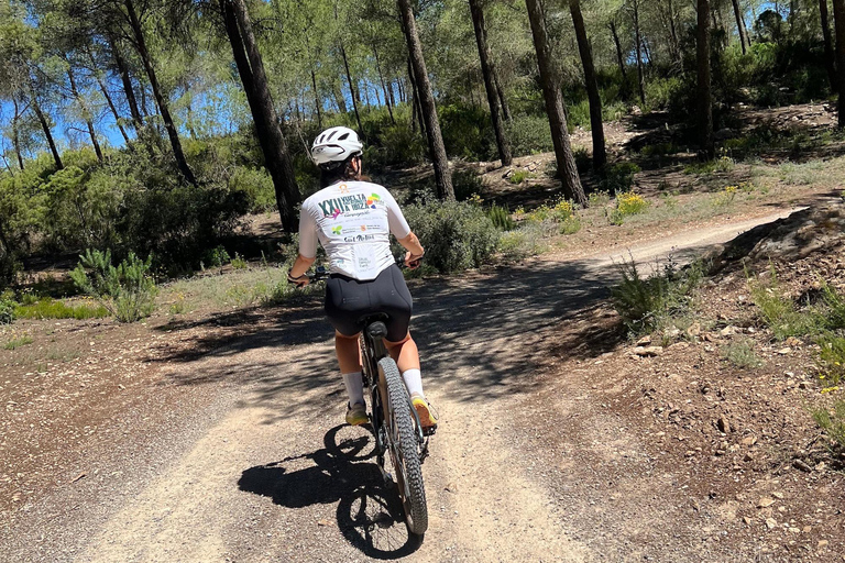 Ibiza: Self-Guided eMTB/e-Bike Rental with GPS Routes