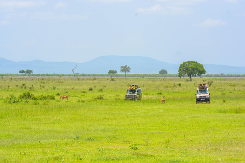 Serengeti und Ngorongoro-Krater: 3-Tage-Safari