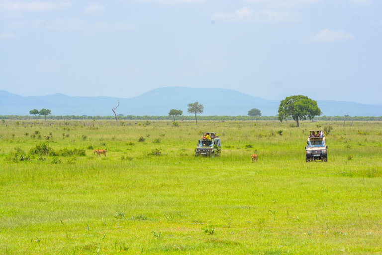 Serengeti und Ngorongoro-Krater: 3-Tage-Safari