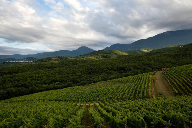 Saloniki: Naousa Wine Region Prywatna jednodniowa wycieczka