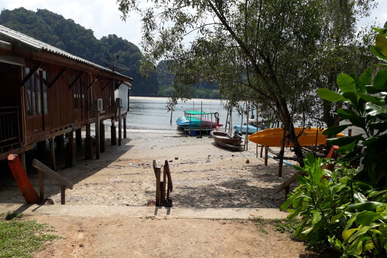 Krabi Mangrove Kayak &Elephant Shelter with Private Transfer Krabi: Mangrove Kayak&Elephant Shelter with Private Transfer