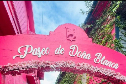 Puerto Plata: Monkey home, Damajagua Waterfalls & City Tour