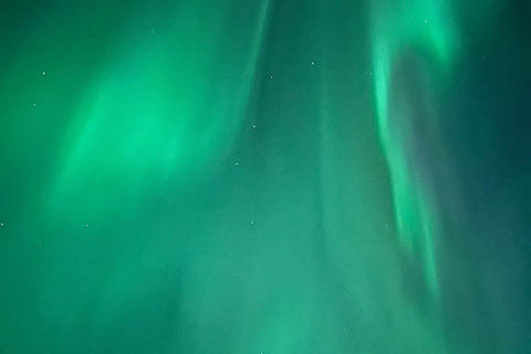 Rovaniemi: Comboio da Aurora para o Wilderness Camp