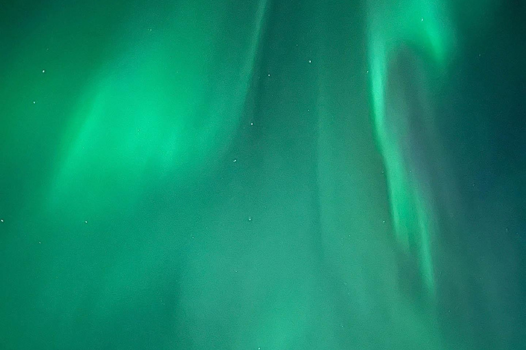 Rovaniemi: Comboio da Aurora para o Wilderness Camp