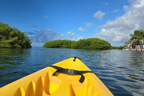 Key West: Kajaktour met privéleiding