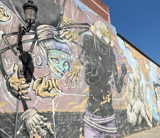Valencia: Street Art Sightseeing Tour