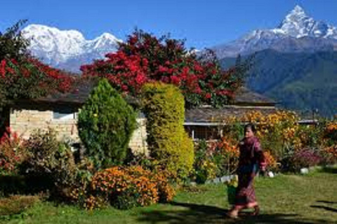 Pokhara: Geführte Tageswanderung von Dampus zum Australian Base Camp