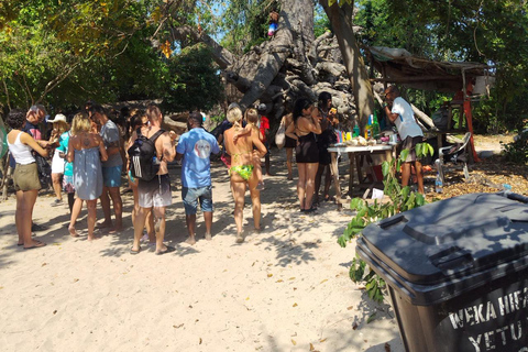 Zanzibar;Blue Safari Snorkeling & Blue Lagoon with BBQ lunch Pickup anywhere (All inclusive)
