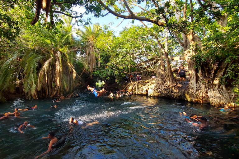 Moshi: Materuni Waterfall, Coffee Tour, Kikuletwa Hot Spring