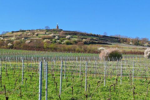Bad Dürkheim: Romans, Vines, and a Giant Barrel – Nature & Wine Enjoyment Hiking Tour Bad Dürkheim: Römer, Vines, and the Giant Barrel – Nature & Wine Enjoyment Hiking Tour