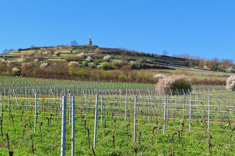Bad Dürkheim: Romans, Vines, and a Giant Barrel – Nature & Wine Enjoyment Hiking Tour Bad Dürkheim: Römer, Vines, and the Giant Barrel – Nature & Wine Enjoyment Hiking Tour