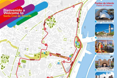 City Sightseeing: Santa Cruz de Tenerife HOHO Bus Tour 24-Hour Hop-On Hop-Off Bus Tour