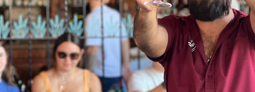 Rota da Tequila Premium com degustação profissional e harmonização