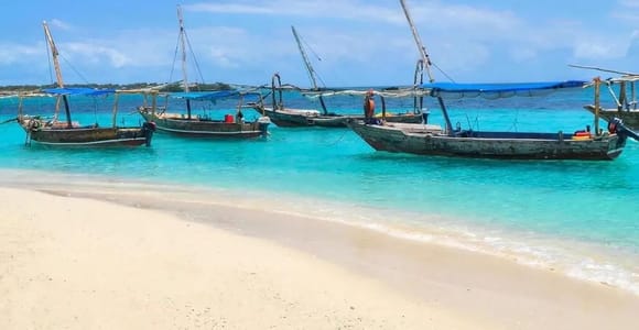 Safari blue Zanzibar by sailing dhow trip
