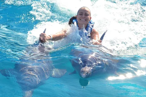 Puerto Vallarta : Nage avec les dauphins au parc Aquaventuras