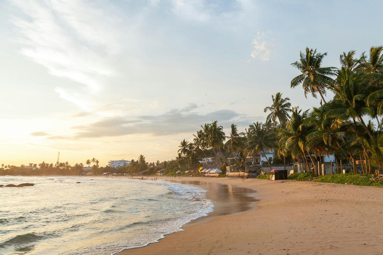 Exkursion von Colombo nach Bentota und Galle