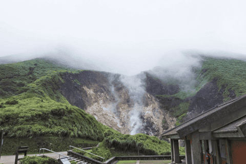Yangmingshan & Beitou Geothermal Wonders Day Tour - Image 3