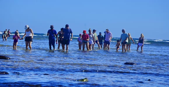 From Sal Island: Blue Eye, Salt Lake, Lemon Sharks & Palmeira