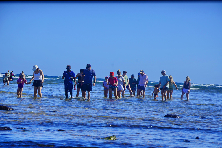 Sal Island: Small-Group Tour with Shark Bay & Blue Eye