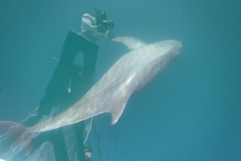 Santa Cruz Huatulco: Przebudzenie z gwiazdami i delfinami Rejs statkiem