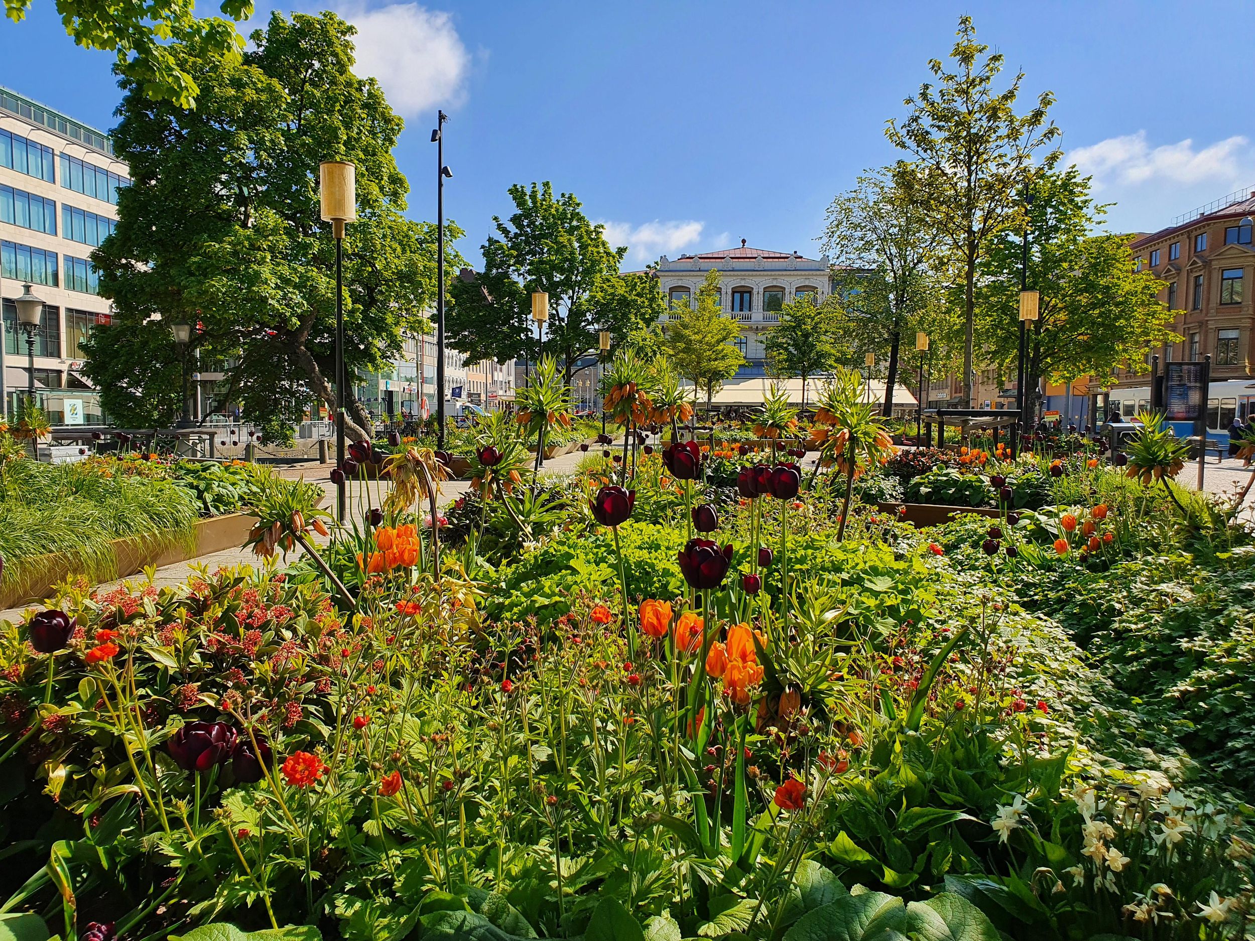 Geführter Stadtrundgang mit einem gebürtigen Göteborger