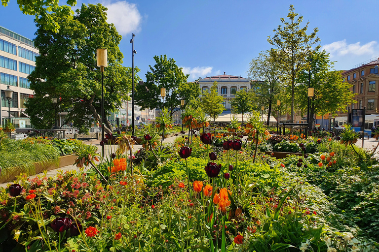 Guided City Walking Tour with a native Gothenburger