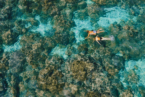 Phuket: Phi Phi Sunset & 3 Snorkeling by Luxury Catamaran With out transfer & National Park