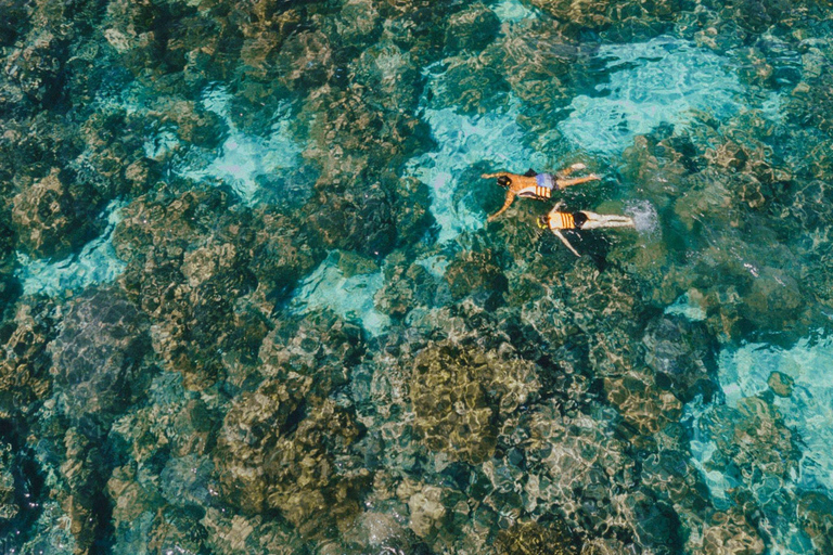 Phuket: Phi Phi Sunset & 3 Snorkeling by Luxury Catamaran With out transfer & National Park