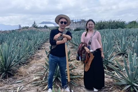 Oaxaca: Sunday Tlacolula Market & Family Mezcal Palenque