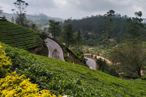 Från Kochi: Munnar och Madurai 2-dagars rundtur med transfer