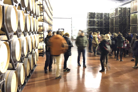 Aranda de Duero: Martín Berdugo Winery - Tour and Tasting