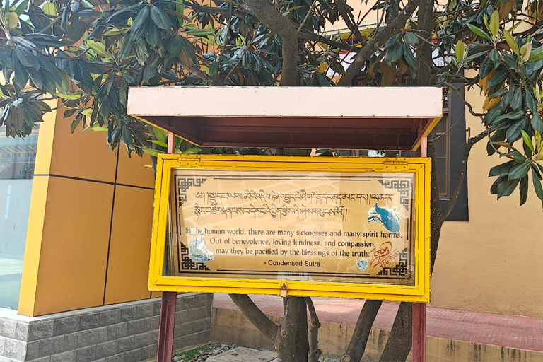 Kathmandu: Buddhist Stupas Tour with Kapon Monastery Visit