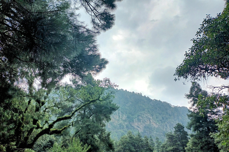 Cidade do México: Caminhada matinal no Mirador Coconetla