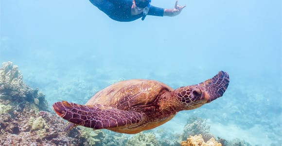 South Maui: Molokini Snorkeling Adventure