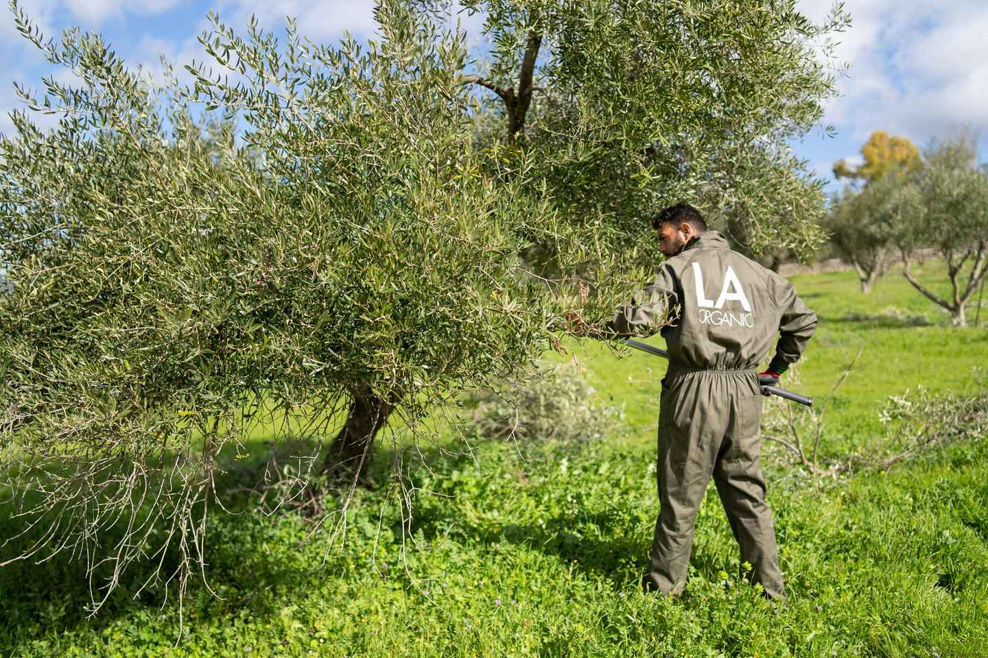 Ronda : Musée et Dégustation d'Huile d'Olive
