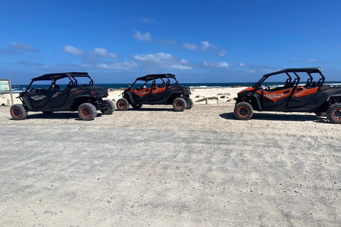 Exclusif : 2 heures d&#039;excursion en buggy à travers Fuerteventura pour un maximum de 4 personnes !