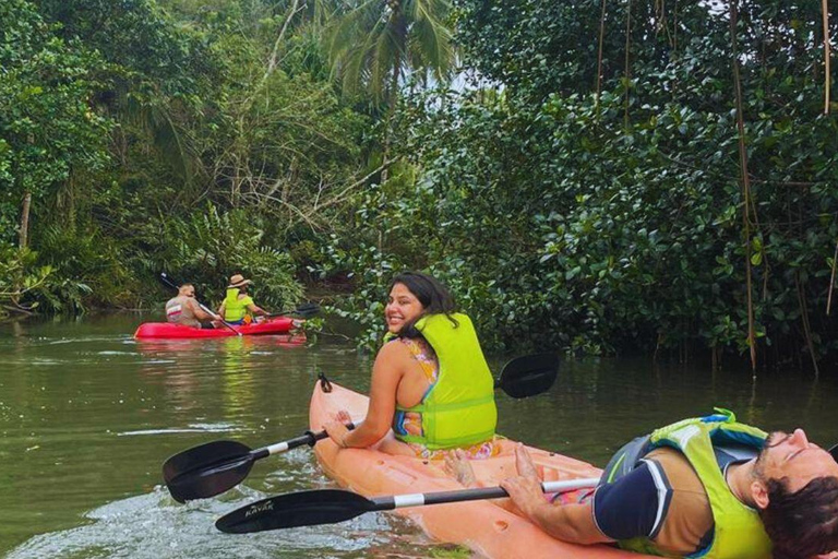 Private Kayaking Adventure: a 2-hour Wildlife Escape Self-Guided Kayaking Adventure: a 2-hour Wildlife Escape