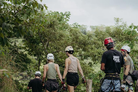 Canopy Zipline from Playa Venao