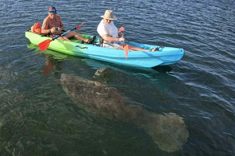 Three Sisters Clear Kayak and Snorkeling Manatee Tour