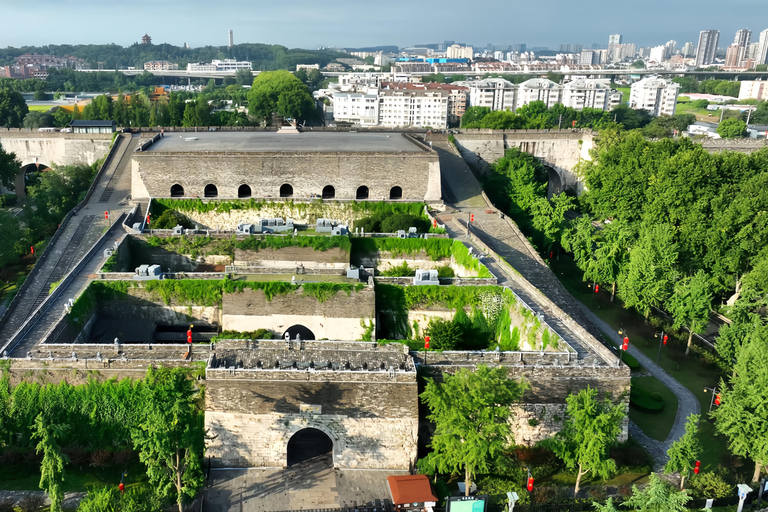 From Shanghai: Nanjing Private Day Trip by High-Speed Rail