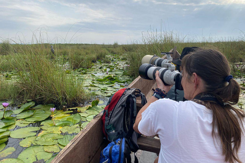 Entebbe: Mabamba Swamp and Botanical Gardens Birding Tour